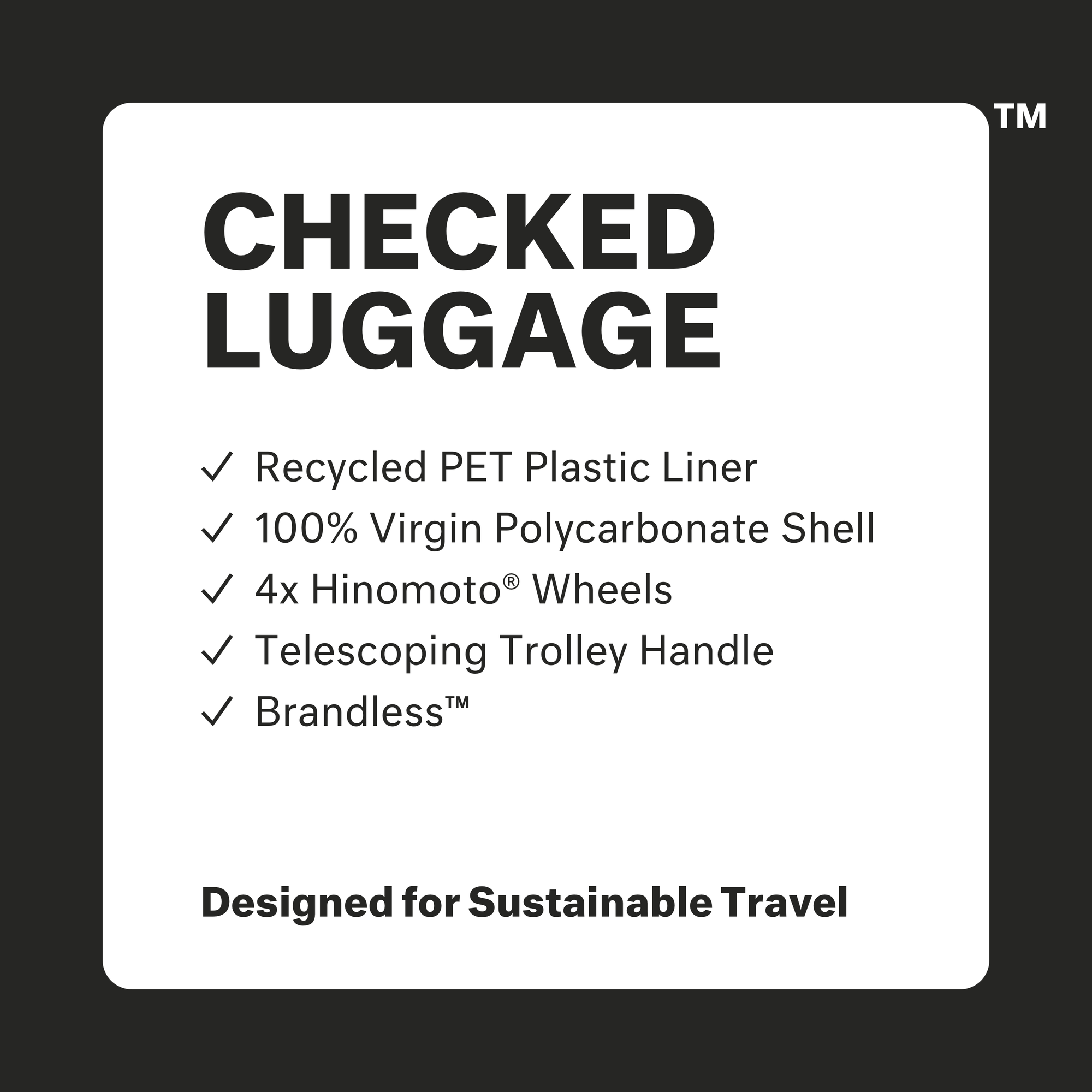 Photo, Brandless checked luggage front.